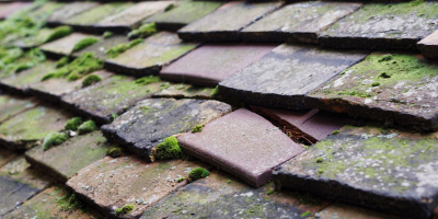 Bolton roof repair costs
